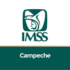 imss_campeche